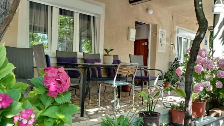 Appartamento Apartman Paulina Selce Esterno foto